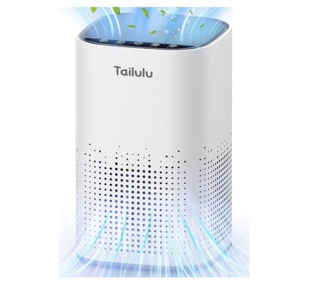 Air Purifiers for Home Large Room